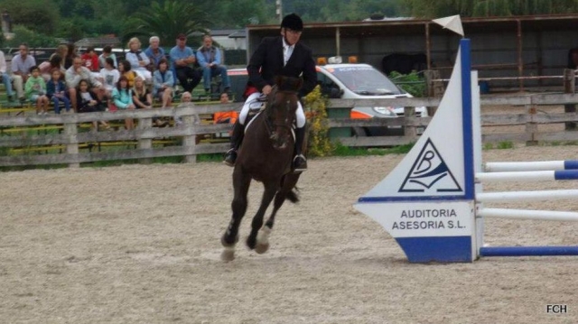 cavaliere a cavallo in un maneggio 
